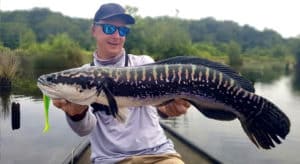 David Wenzel (Angeln like a Boss) mit einem Snakehead