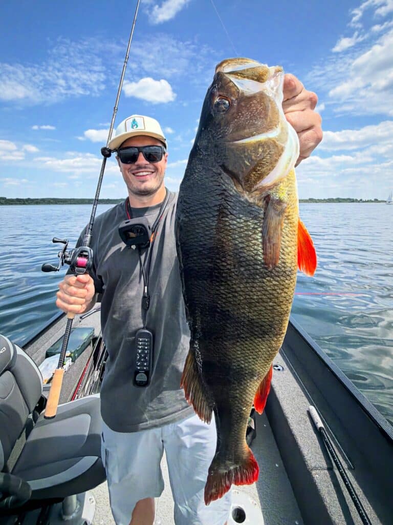Texas Rig auf Barsch: Joshi (Joshinator) aus der Better-Fishing-Jury hält einen dicken Barsch im Boot