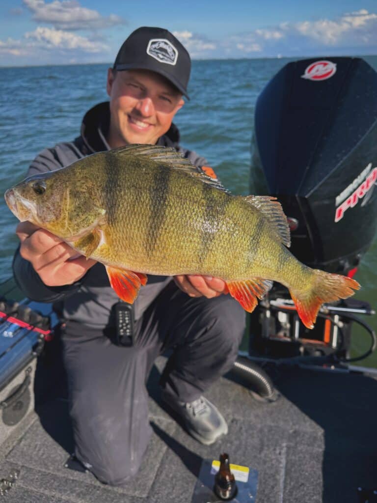 Cheburashka Rig auf Barsch: Angler zeigt einen dicken Barsch im Boot